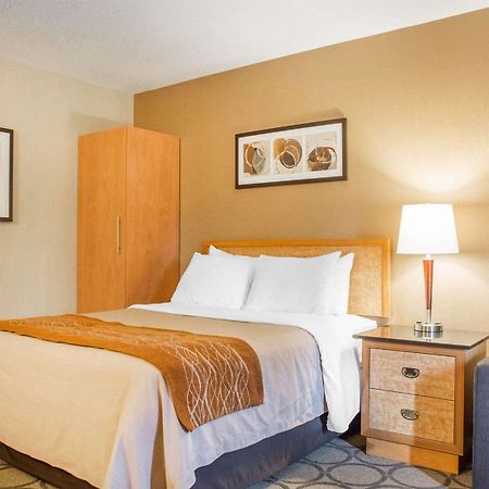 Comfort Inn Brantford Buitenkant foto