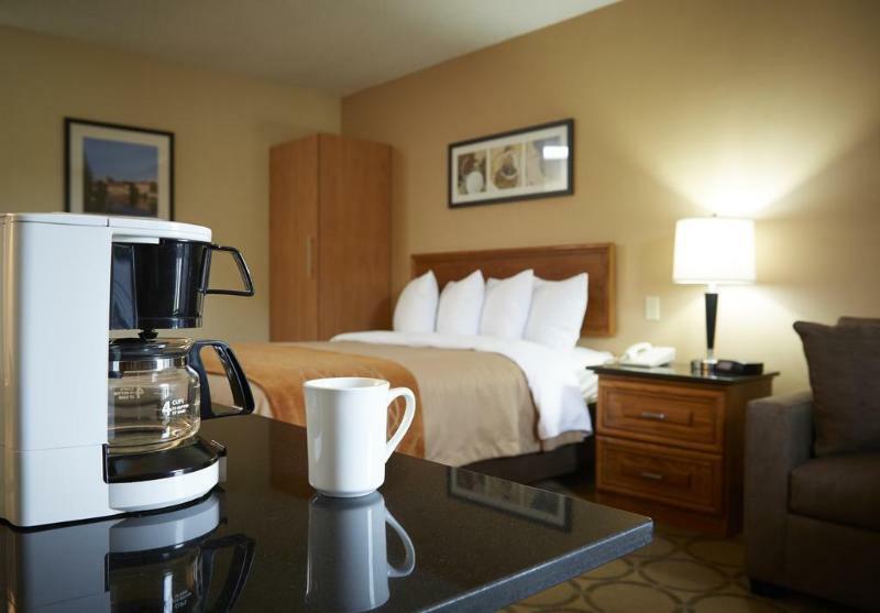 Comfort Inn Brantford Buitenkant foto